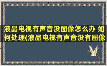 液晶电视有声音没图像怎么办 如何处理(液晶电视有声音没有图像怎么修理)